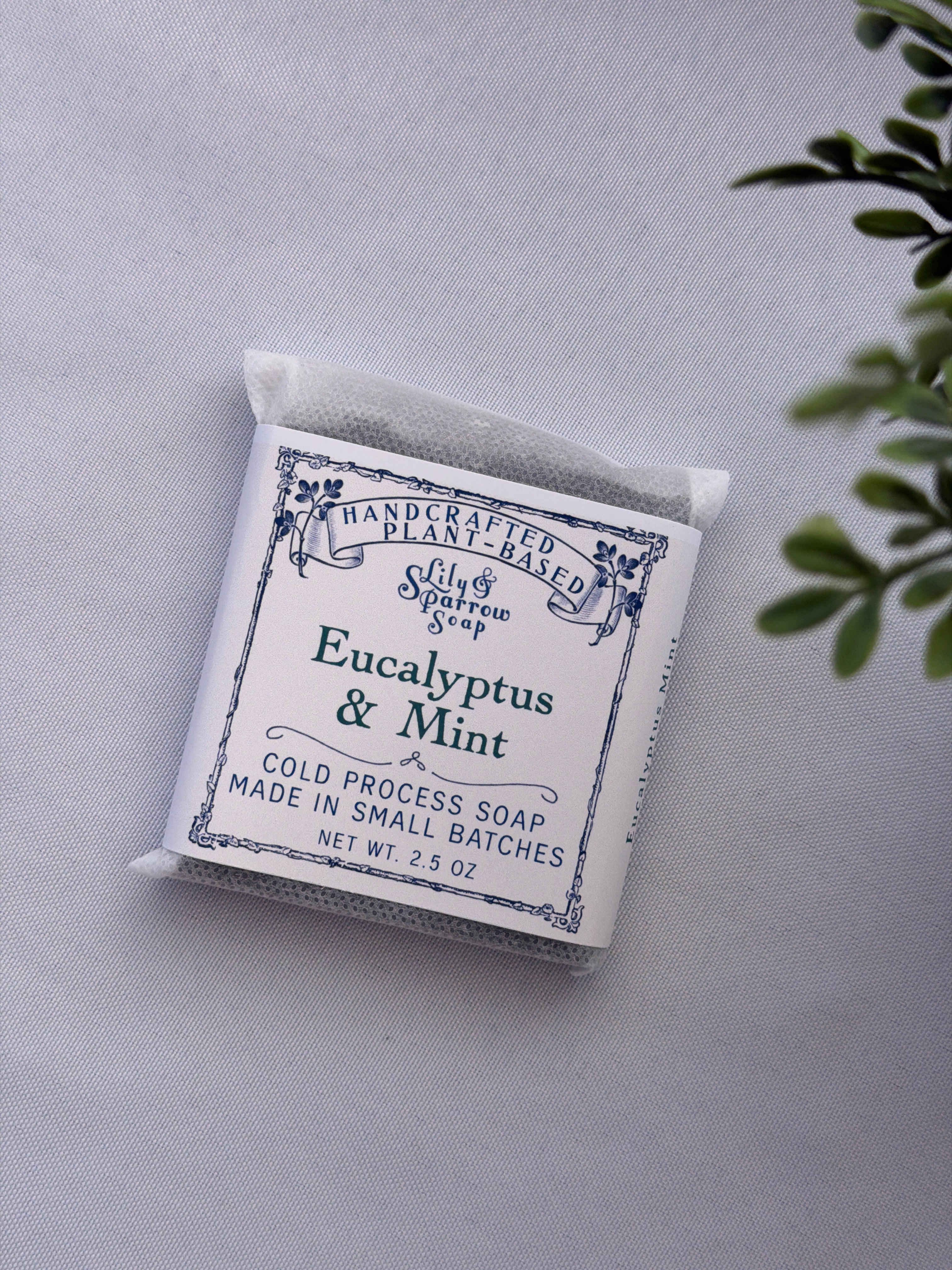 Eucalytpus and Mint - Sampler